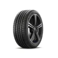 Michelin Pilot Sport A/S 4 ZP Tire Limited Time