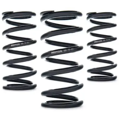 AST Linear Race Springs - 120mm Length x 80 N/mm Rate x 61mm ID - Set of 2 - AST-120-80-61 Price Cut