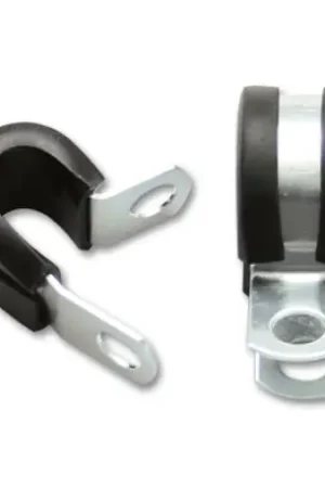 Vibrant Stainless Steel Cushion P-Clamp for 0.3125in OD Hose (10 Pack) Direct From Manufacturer